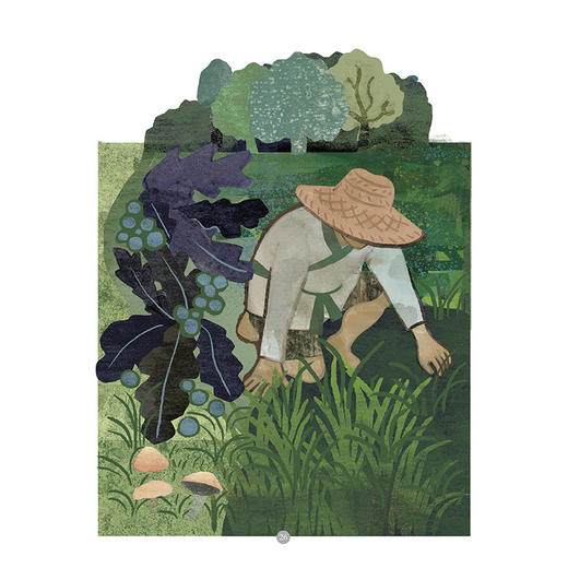 一粒种子 商品图3