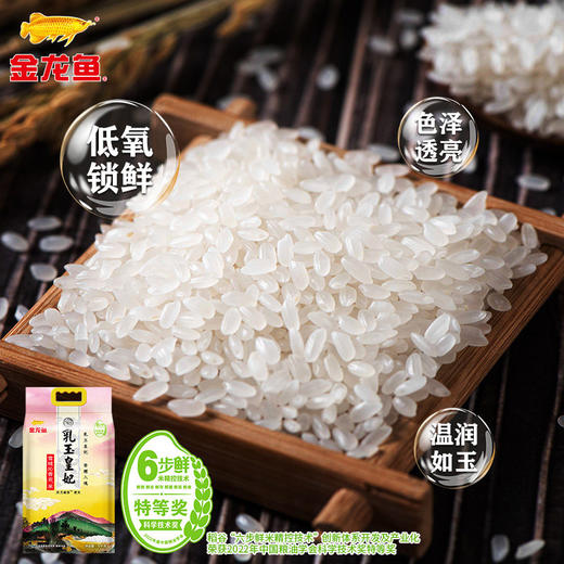 金龙鱼乳玉皇妃雪域沁香贡米5kg 商品图1