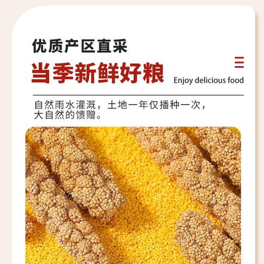 五合民时汇1000g黄金苗小米 商品图2