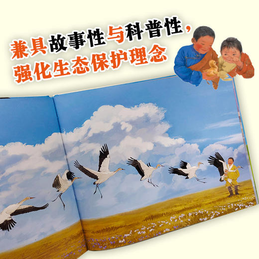 飞吧,黑颈鹤 商品图3