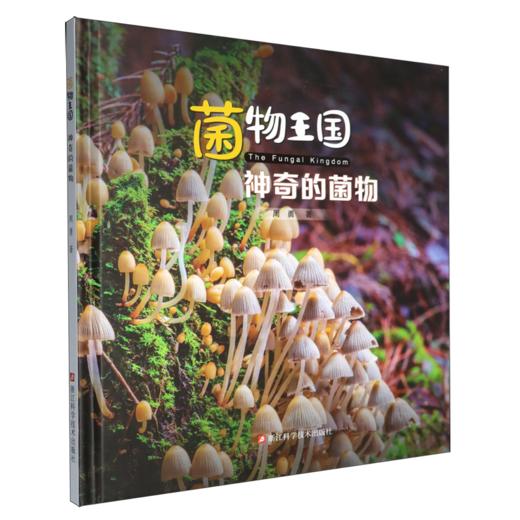 神奇的菌物 商品图0