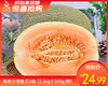 海南沙地蜜瓜S级（2.2kg±100g/颗） 商品缩略图0