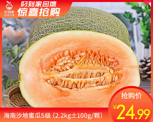 海南沙地蜜瓜S级（2.2kg±100g/颗） 商品图0