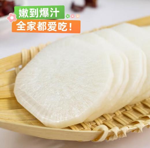 【QT】新鲜白萝卜 商品图2