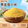 五合民时汇1000g黄金苗小米 商品缩略图0