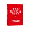 十五五数字经济规划指南 商品缩略图0