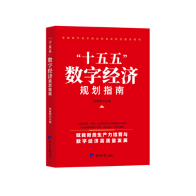 十五五数字经济规划指南