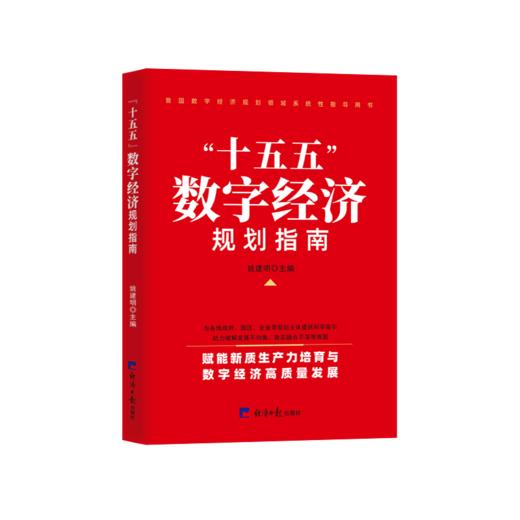 十五五数字经济规划指南 商品图0