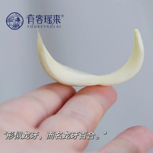 有客瑶来 鲜龙牙百合  100g*3包/5包  高山富硒种植 鲜挖现发 商品图5