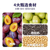 3盒【 西梅芭乐奇亚籽豆浆粉】 商品缩略图3