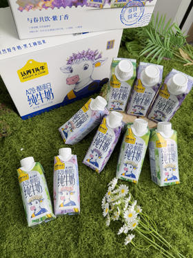 黑土A2春季限定【认养一头牛】