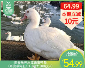 南安放养水库嫩番鸭母（杀完带内脏1.15kg±100g/只）