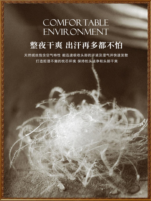 ESTEEM/宜庭 金蝶信使鹅绒丝枕头床上用品防钻绒枕枕芯两只装【专柜同款】 商品图4