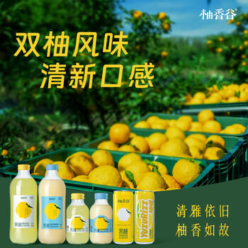 柚香谷宋柚汁双柚汁乳酸菌饮料 原果研磨0脂无负担 送礼佳品300g*20瓶 /水饮冲调 /饮料 /乳酸菌饮料 商品图2