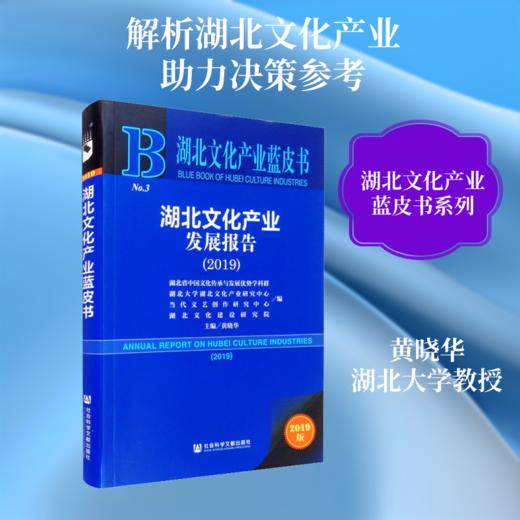 湖北文化产业发展报告(2019) 2019版 商品图0