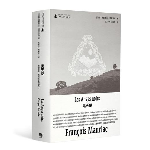 黑天使（诺奖得主莫里亚克纯熟之作，绝美精装文库本全新呈现! 一部现代版《呼啸山庄》，一份人性观察记录，在恨与爱、复仇与谅解中寻找信仰 商品图6
