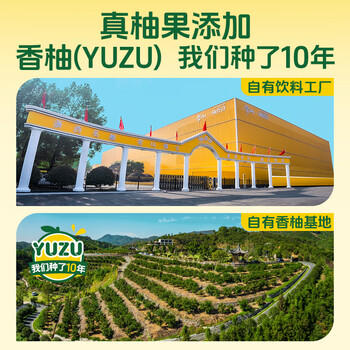 柚香谷宋柚汁双柚汁乳酸菌饮料 原果研磨0脂无负担 送礼佳品300g*20瓶 /水饮冲调 /饮料 /乳酸菌饮料 商品图0