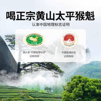 贡苑绿茶2026新茶 太平猴魁250g 正宗安徽黄山布尖雨前头采茶叶自己喝 商品图4