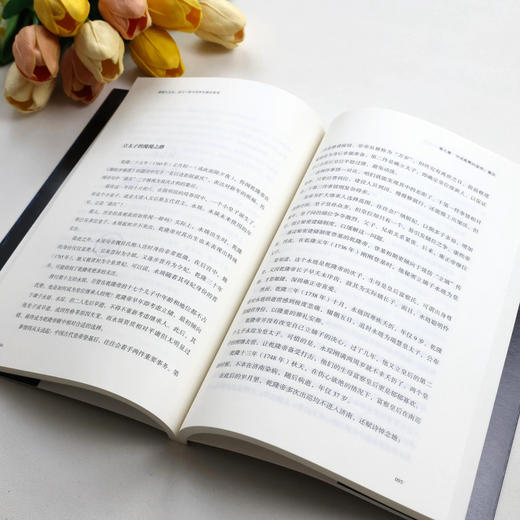 《大历史里的中国系列》全10册 商品图4