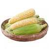 【生吃“爆”浆❗️云南金银水果玉米】新鲜采摘产地直发，黄白相间颗粒饱满，香甜脆嫩自带清甜，颗粒饱满均匀，适配日常解馋、健康饮食代餐，生吃甜玉米棒子苞谷米L 商品缩略图4