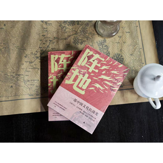 阵地 亚洲优秀电视剧奖 获奖电视剧《阵地》同名小说 冯绍峰李晨徐璐王丽坤王劲松主演 商品图4
