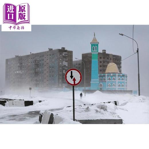【中商原版】Winterland: The Colors of Snow 进口艺术 冬季乐园：雪的色彩 teNeues 商品图4