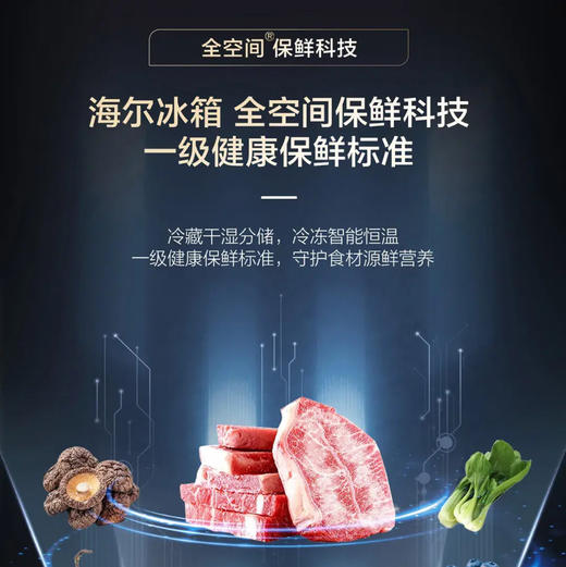 海尔（Haier）冰箱 BCD-508WGHTD1BXZU1 商品图7