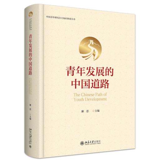 青年发展的中国道路 廉思 主编  北京大学出版社 商品图0