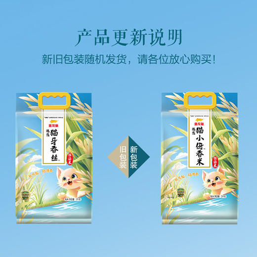 金龙鱼臻选猫小牙香米5kg 商品图1