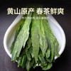贡苑绿茶2026新茶 太平猴魁250g 正宗安徽黄山布尖雨前头采茶叶自己喝 商品缩略图7