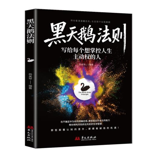 黑天鹅法则 商品图0