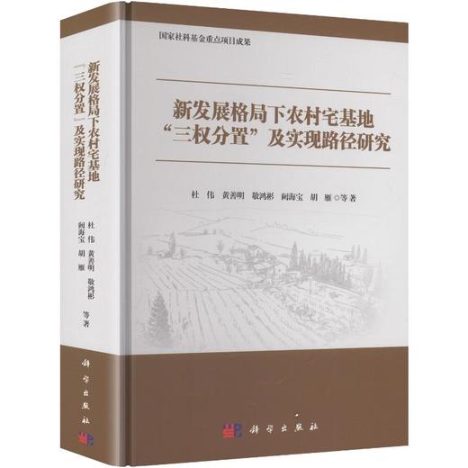 新发展格局下农村宅基地“三权分置”及实现路径研究 商品图0