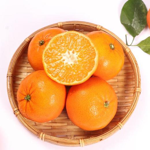 糖果柑1.2kg/袋 (果径50-55mm） 商品图3