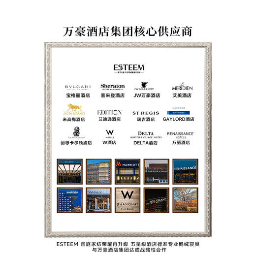 【新品】ESTEEM/宜庭 艾米莉的夏日凉感可水洗95鹅绒夏被双面设计一面温一面凉【专柜同款】 商品图9