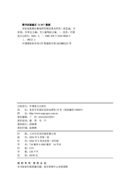农村电氢耦合微电网发展前景及研究 商品图3