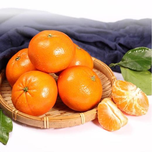 糖果柑1.2kg/袋 (果径50-55mm） 商品图2