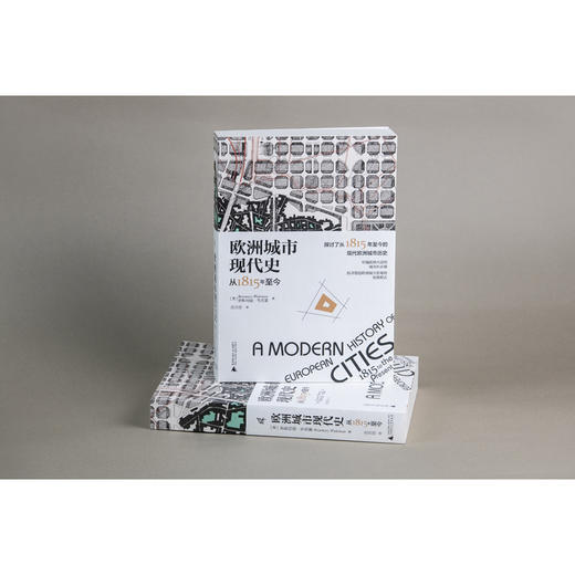 新民说·欧洲城市现代史：从 1815 年至今 商品图4