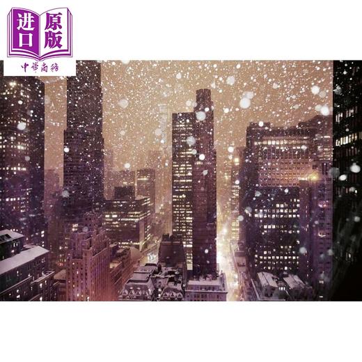 【中商原版】Winterland: The Colors of Snow 进口艺术 冬季乐园：雪的色彩 teNeues 商品图2