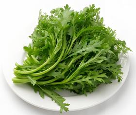 【SF】新鲜茼蒿