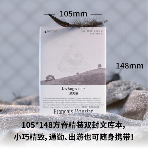 黑天使（诺奖得主莫里亚克纯熟之作，绝美精装文库本全新呈现! 一部现代版《呼啸山庄》，一份人性观察记录，在恨与爱、复仇与谅解中寻找信仰 商品图3
