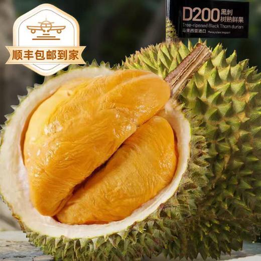 【黑刺榴莲鲜果】市舶士马来西亚进口黑刺榴莲鲜果 商品图1