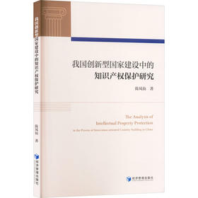 我国创新型国家建设中的知识产权保护研究