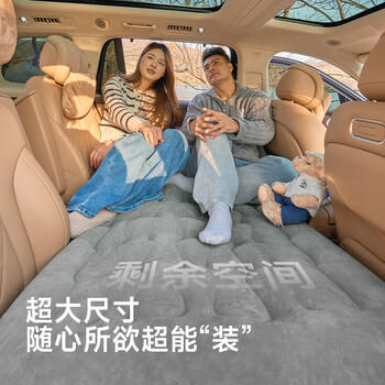 探险者（TAN XIAN ZHE）车载充气床垫轿车后座睡垫suv汽车睡觉神器气垫床打地铺 商品图1