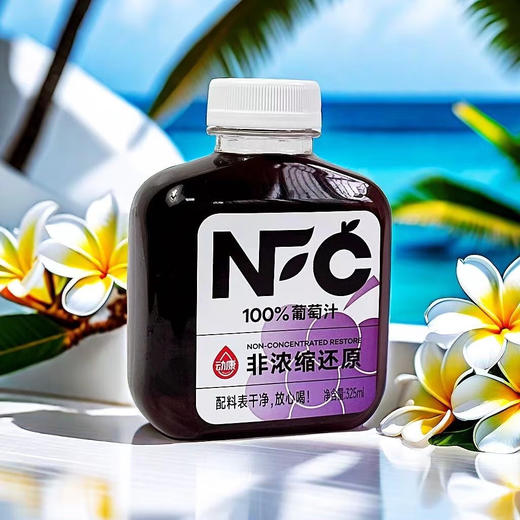 动康果汁NFC纯果汁100%白桃葡萄汁苹果汁橙混合杨梅果汁20瓶整箱 商品图2