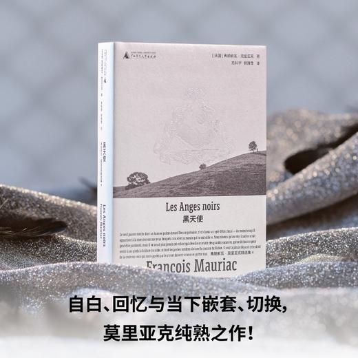黑天使（诺奖得主莫里亚克纯熟之作，绝美精装文库本全新呈现! 一部现代版《呼啸山庄》，一份人性观察记录，在恨与爱、复仇与谅解中寻找信仰 商品图2
