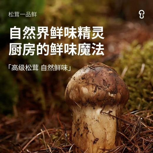 松鲜鲜285g松茸一品鲜 商品图4