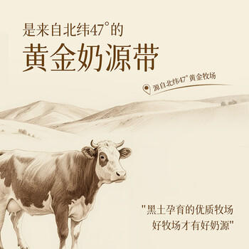 索菲亚冰淇淋 提拉米苏口味冰糕大碗冰激凌 雪糕冷饮 450g*1碗 商品图0