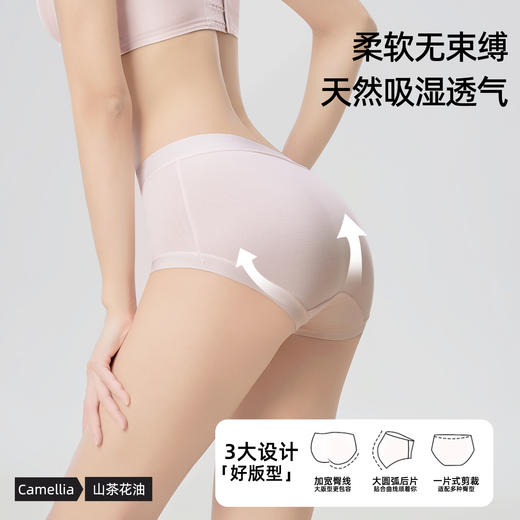 QIUBAN秋板A类棉莫山茶花内裤 无痕轻盈无束缚 M70 商品图6