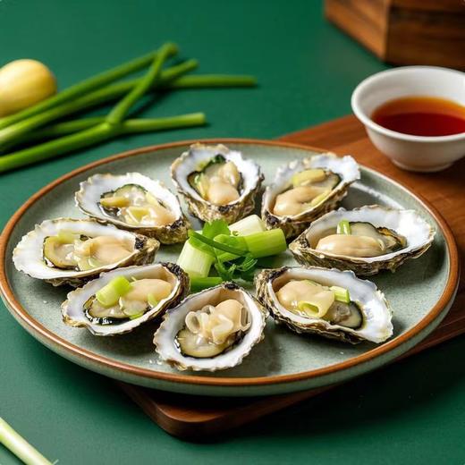【MLT】生蚝 商品图2