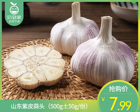 山东紫皮蒜头（500g±50g/份）